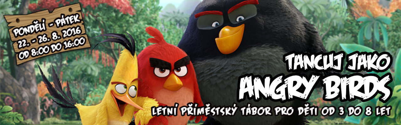 Letní příměstský tábor 2016 | Tancuj jako Angry Birds